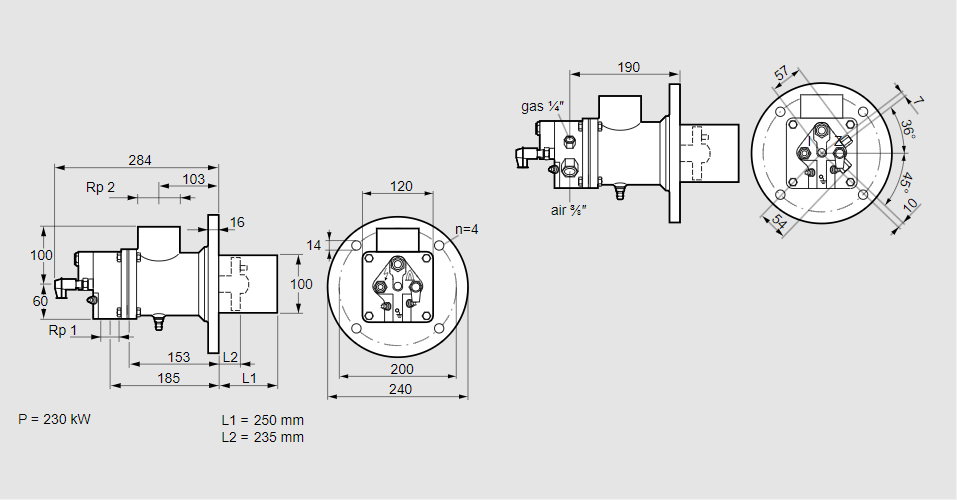 Горелка газовая BIO 100RML-250/235-(112)E
