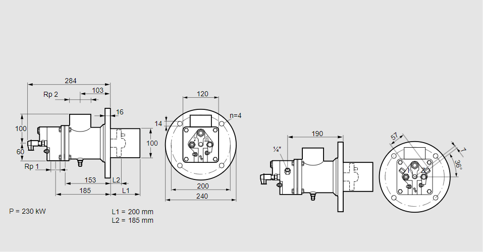 Горелка газовая BIO 100KB-200/185-(41E)E