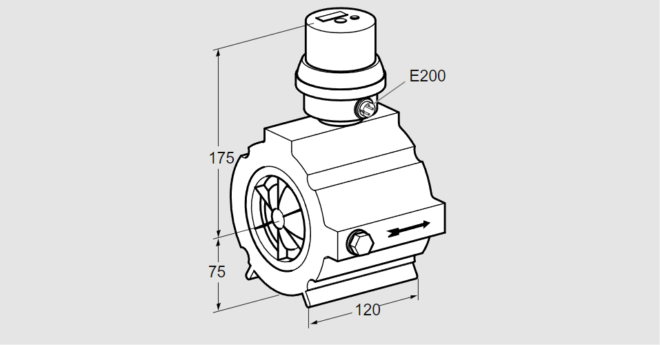 Счётчик расхода газа c эл.табло DE 100Z80-160B