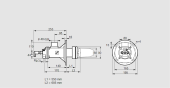 BICA 65HB-550/685-(34A)DR купить в компании ГАЗПРИБОР